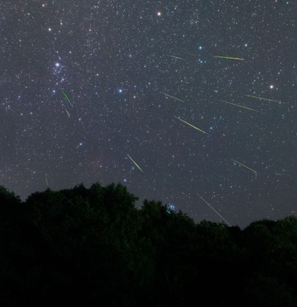 Noche de Perseidas